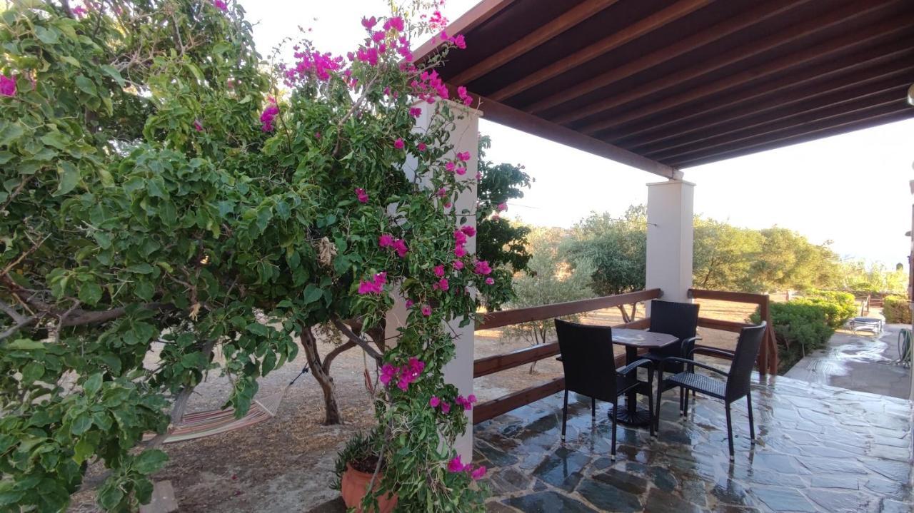 Tramonto Nel Delfini Apartment Kini ภายนอก รูปภาพ